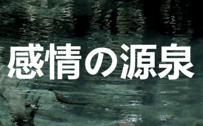 経営者の基本。怒りとの付き合い方