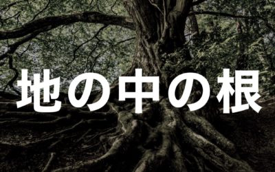 論語から学ぶ経営哲学：木は本（もと）から